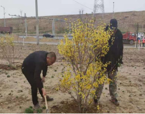 圖片3.png 圖片3.png