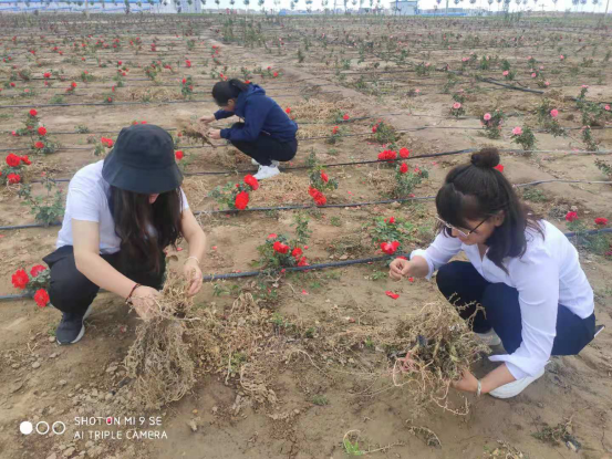 圖片11.png 圖片11.png