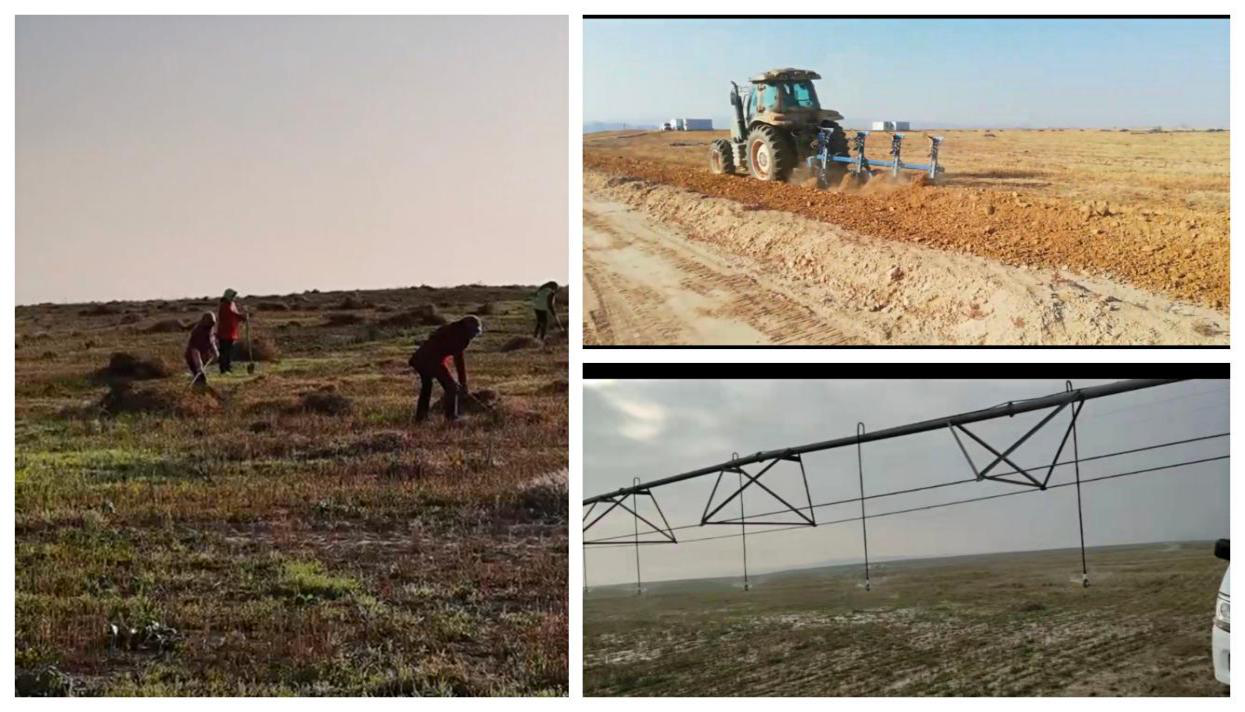 圖片2.png 圖片2.png