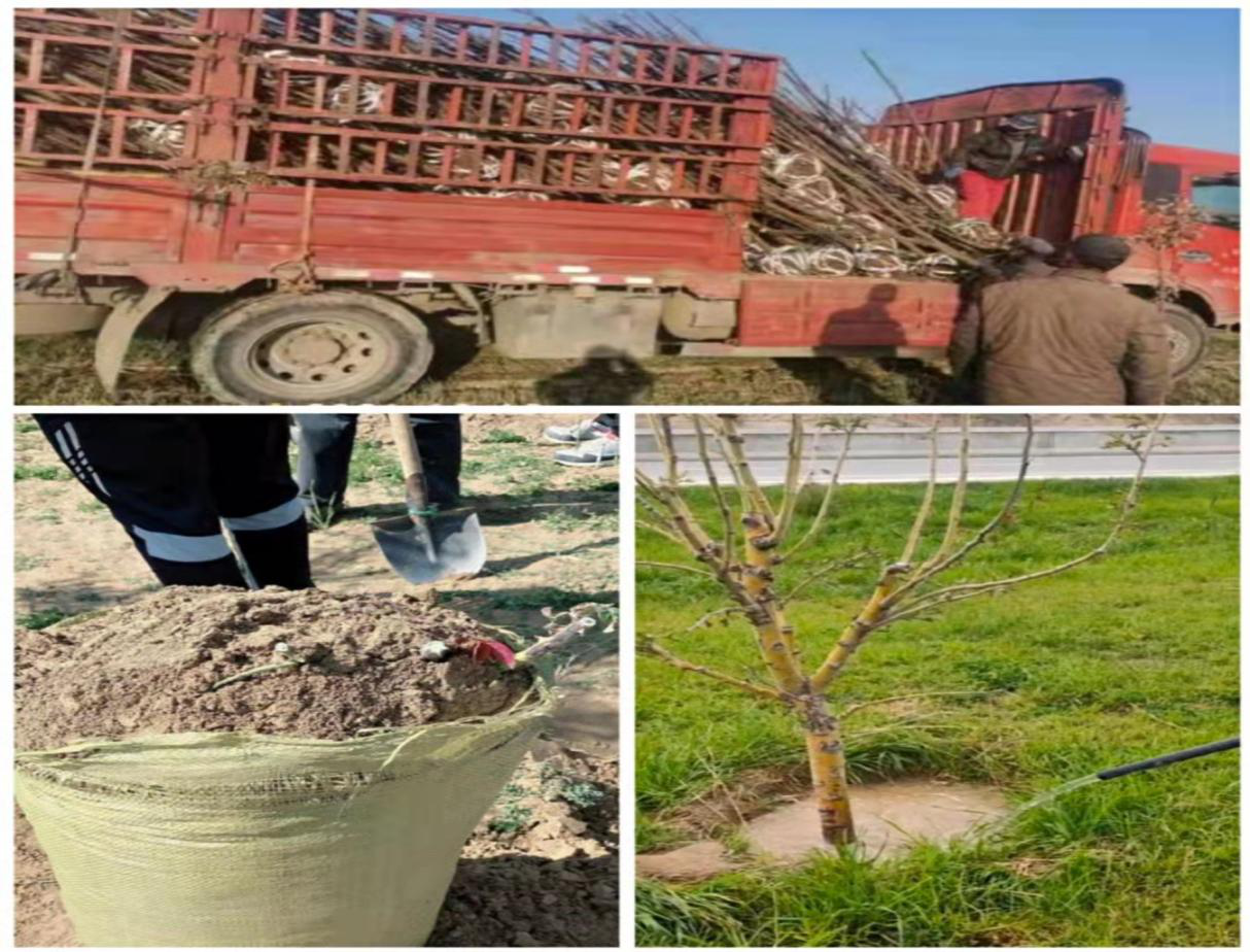 圖片3.png 圖片3.png