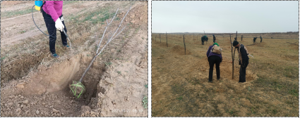 圖片6.png 圖片6.png