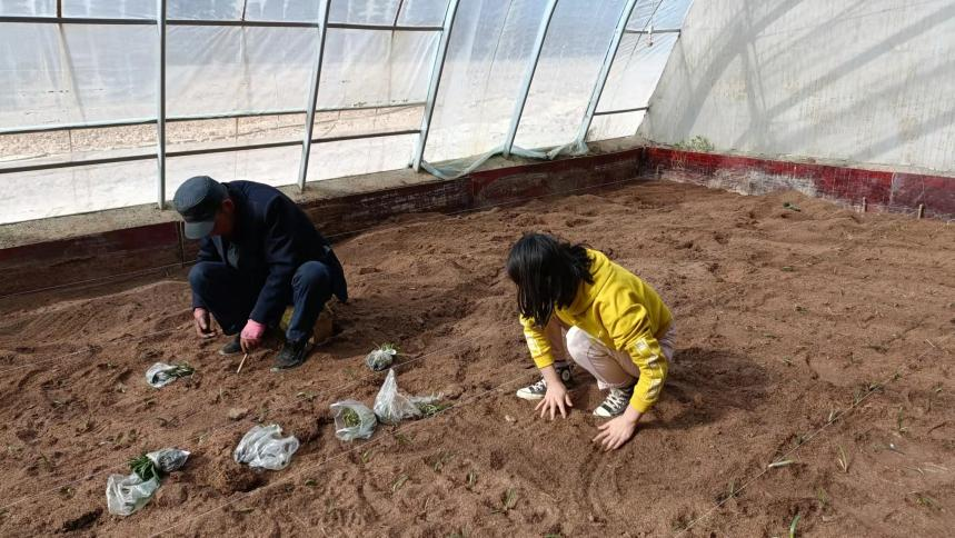 圖片4.png 圖片4.png