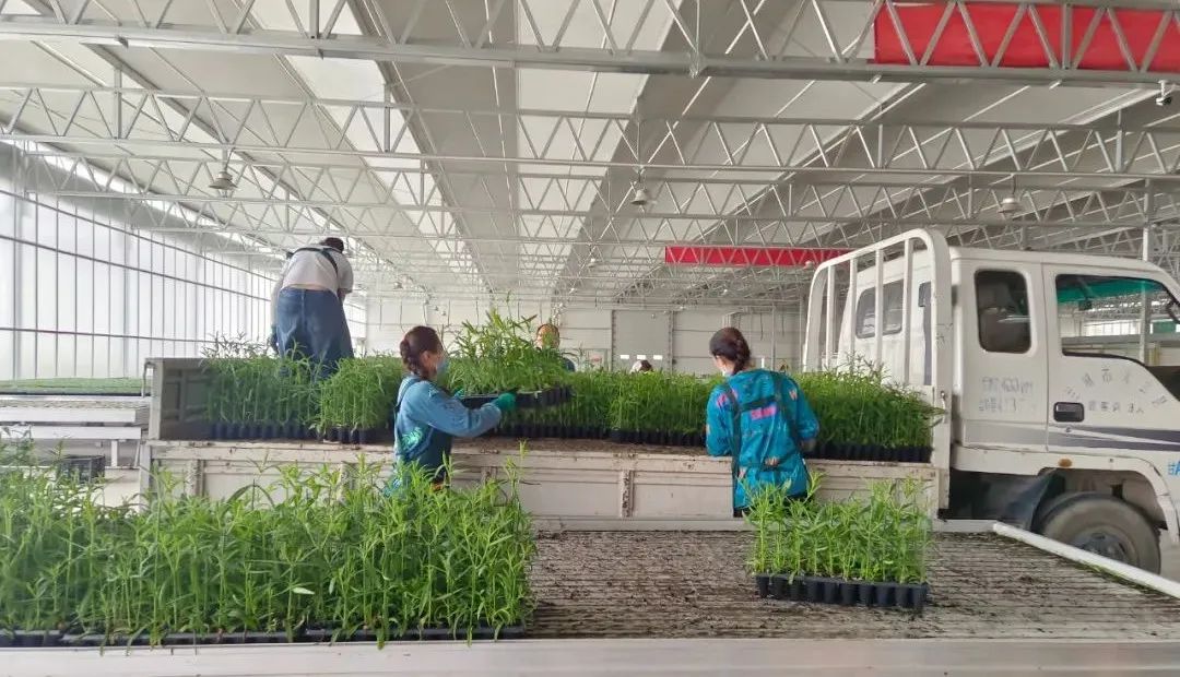 微信圖片_20220516094138.jpg 微信圖片_20220516094138.jpg