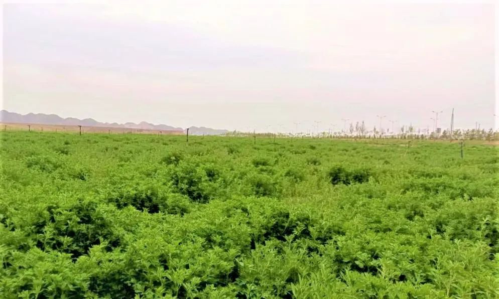 微信圖片_20220523165505.jpg 微信圖片_20220523165505.jpg