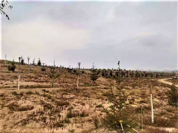 圖片6.png 圖片6.png