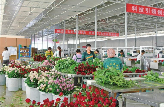 24CD0A28-D3AF-45a7-8E93-3D8893978D28.png 24CD0A28-D3AF-45a7-8E93-3D8893978D28.png